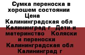 Сумка-переноска в хорошем состоянии › Цена ­ 400 - Калининградская обл., Калининград г. Дети и материнство » Коляски и переноски   . Калининградская обл.,Калининград г.